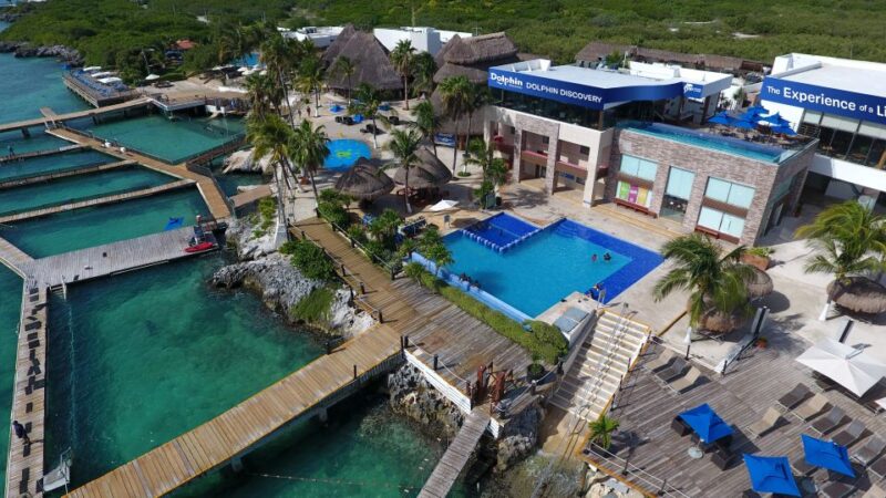 Cancún: Isla Mujeres Catamaran Tour & Swim With Dolphins - Key Points