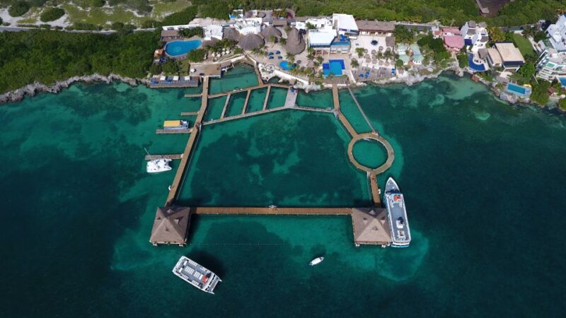 Cancún: Isla Mujeres Catamaran Tour & Swim With Dolphins - Itinerary and Activities