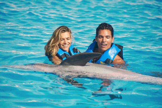 Cancún: Isla Mujeres Catamaran Tour & Swim With Dolphins - Dolphin Swim Highlights