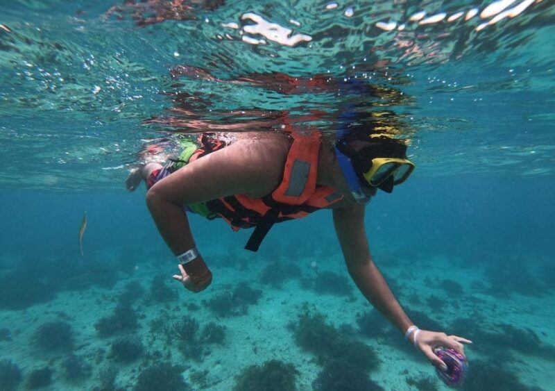 Cancun: Isla Mujeres Catamaran Tour With Lunch and Snorkel - Itinerary Highlights