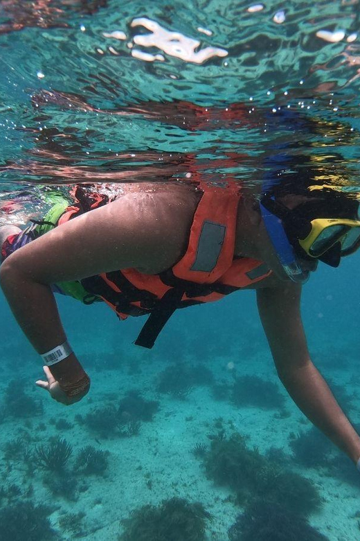 Cancun: Isla Mujeres Catamaran Tour With Lunch and Snorkel - Inclusions