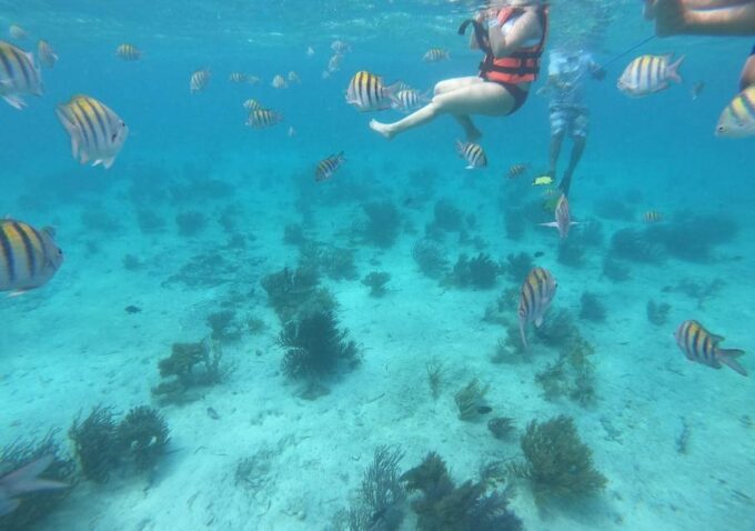 Cancun: Isla Mujeres Catamaran Tour With Lunch and Snorkel - Explore Isla Mujeres