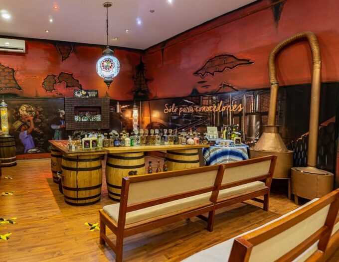 Cancun Island & Shopping Tour - Activities