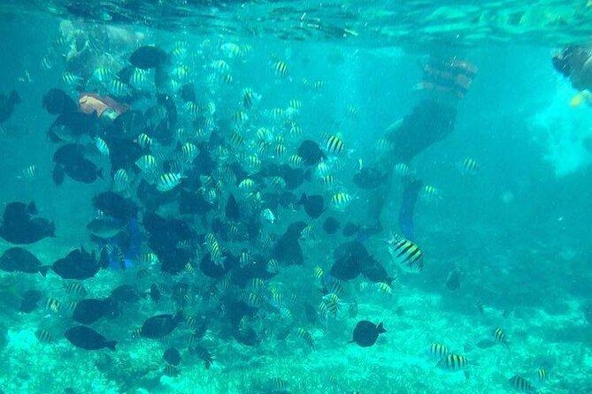 Cancun Jetski and Snorkel Adventure - Meeting and Check-in