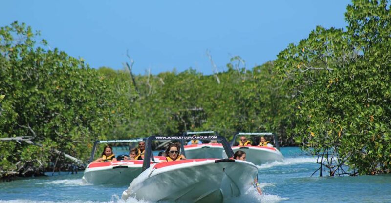 Cancun: Jungle Tour Adventure With Speedboat and Snorkeling. - Key Points