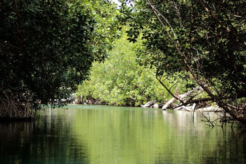 Cancun: Jungle Tour Adventure With Speedboat and Snorkeling. - Important Information