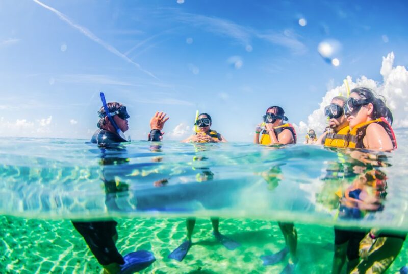Cancun: Jungle Tour Adventure With Speedboat and Snorkeling - Inclusions and Fees