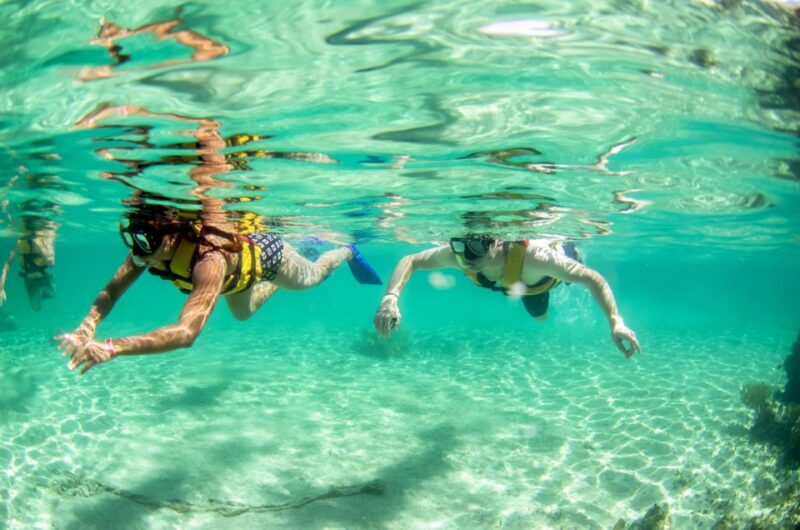 Cancun: Jungle Tour Adventure With Speedboat and Snorkeling - Participant Restrictions and Requirements