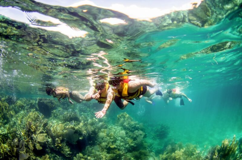 Cancun: Jungle Tour Adventure With Speedboat and Snorkeling - Speedboat and Snorkeling Adventure