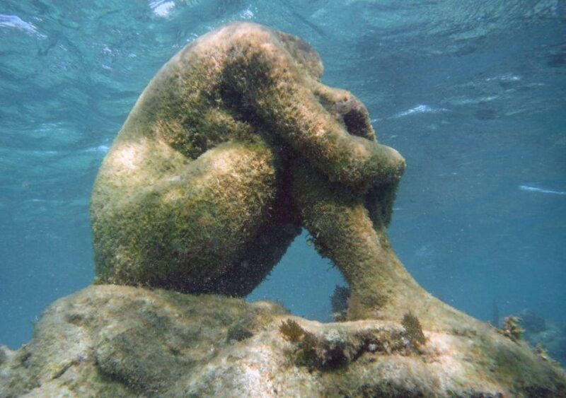 Cancun: Jungle Tour Speedboat and Snorkel Tour - Itinerary Details