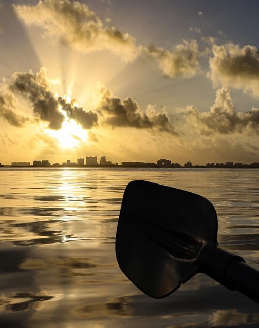 Cancun: Kayak Adventure at Cancun! Nichupte Lagoon Mangrove - Experience Highlights
