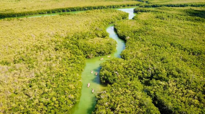 Cancun: Kayak Adventure at Cancun! Nichupte Lagoon Mangrove - Participant Restrictions