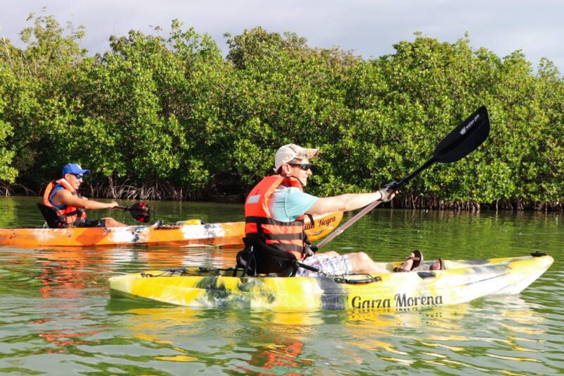 Cancun: Kayak Adventure at Cancun! Nichupte Lagoon Mangrove - Meeting Point