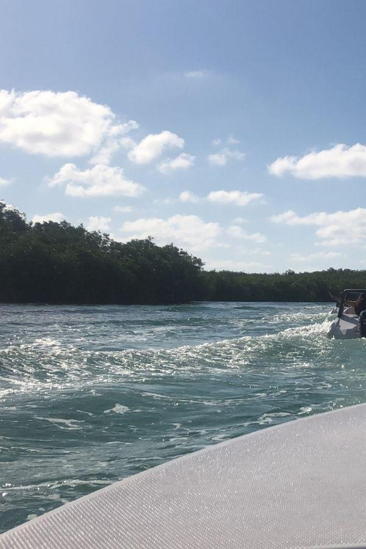 Cancun: Laguna Nichupte Speedboat Snorkeling Tour - Key Points