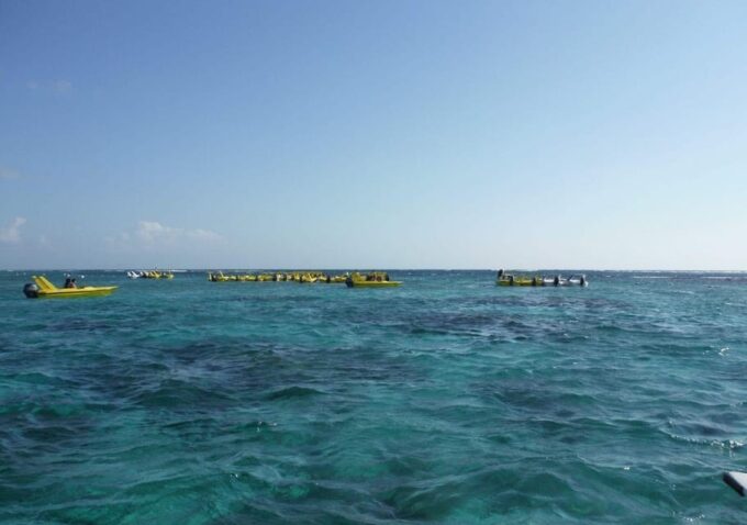 Cancun: Laguna Nichupte Speedboat Snorkeling Tour - Frequently Asked Questions