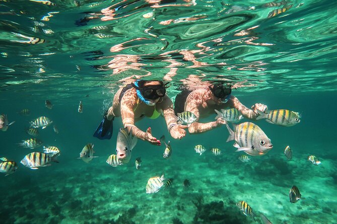Cancun Luxury Sailing & Snorkeling With Lunch and Open Bar Onboard - Requirements and Restrictions