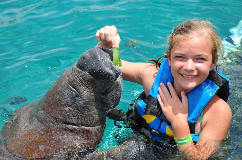 Cancún: Manatee Encounter on Isla Mujeres With Buffet Lunch - Key Points