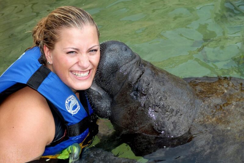 Cancún: Manatee Encounter on Isla Mujeres With Buffet Lunch - Participant Guidelines