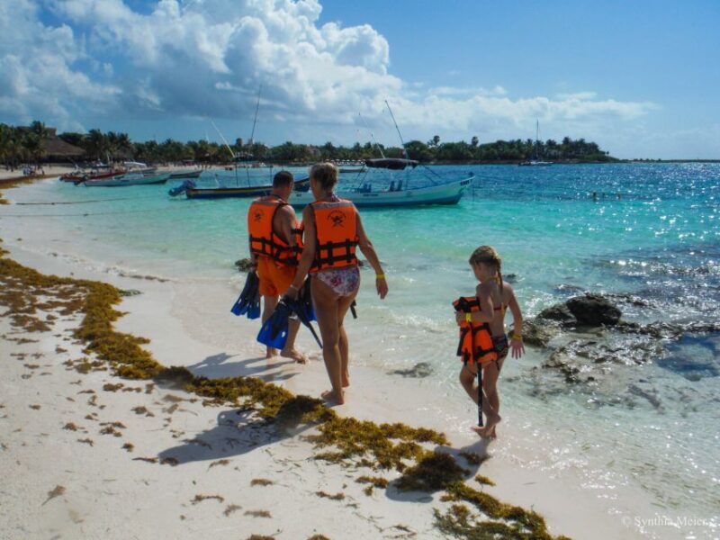 Cancun: Marine Turtle Observation in Akumal - Inclusions and Exclusions