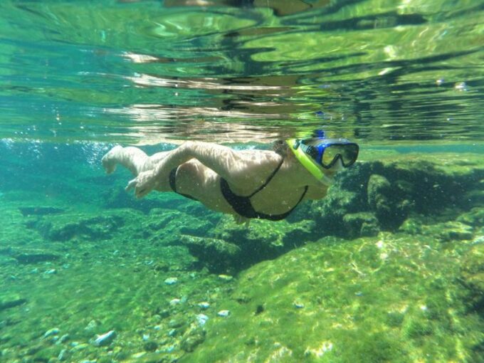 Cancun: Marine Turtle Observation in Akumal - Frequently Asked Questions