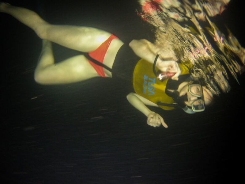 Cancun: Moonlight Snorkeling Tour With Transfer - Cancellation and Refund Policy