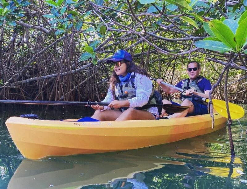 Cancún: Morning or Sunset Kayak Adventure in Nichupte Lagoon - Physical Requirements