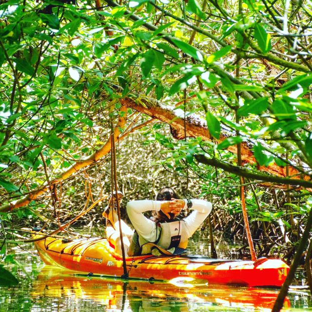Cancún: Morning or Sunset Kayak Adventure in Nichupte Lagoon - Customer Feedback