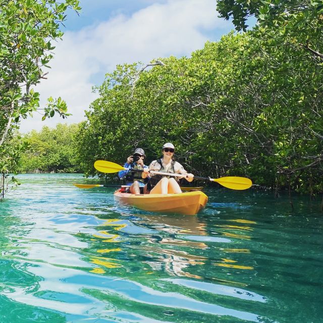 Cancún: Morning or Sunset Kayak Adventure in Nichupte Lagoon - Frequently Asked Questions
