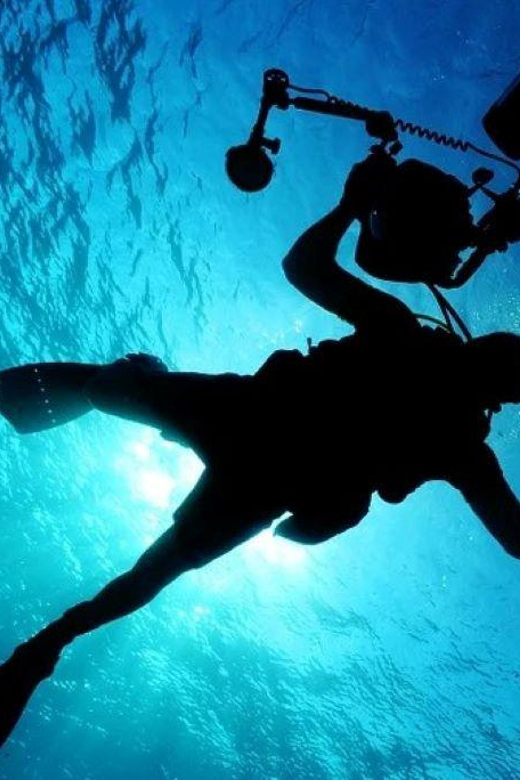 Cancun: MUSA Diving Experience - Booking and Cancellation Policy