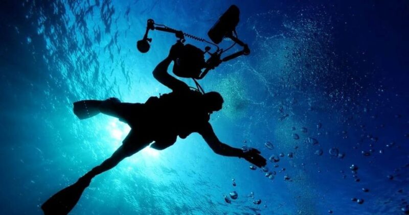 Cancun: MUSA Diving Experience - Customer Ratings and Feedback