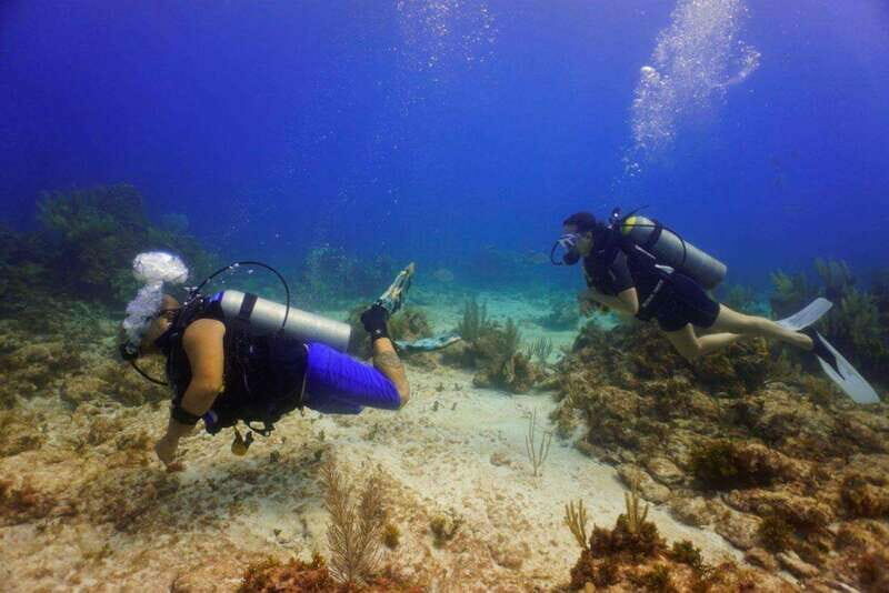 Cancun: MUSA Diving for certified divers morning dive trip - Key Points