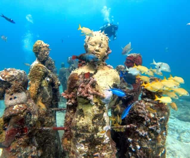 Cancun: Musa Underwater Museum and Reef Scuba Diving Tour - Experience Highlights