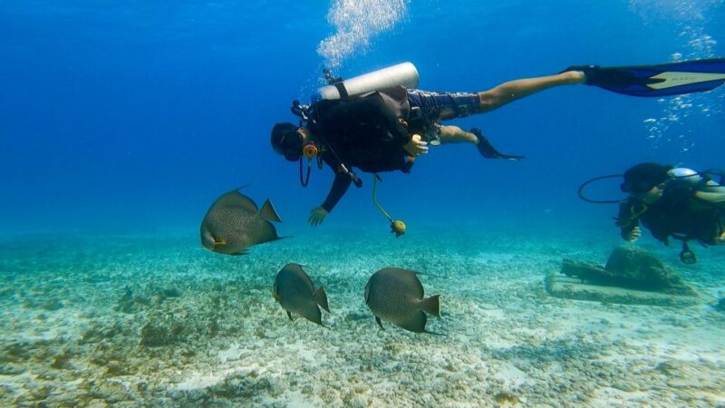 Cancun: Open Water Diving Certification Course - Key Points