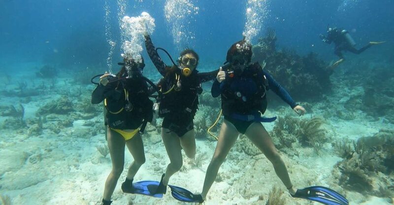 Cancun: Open Water Diving Certification Course - Meeting Point and Schedule