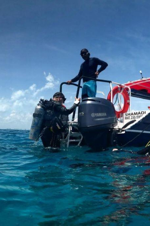 Cancun or Isla Mujeres Reef Diving for Beginners - Key Points
