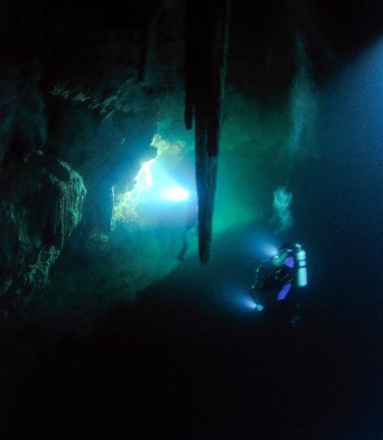 Cancun or Isla Mujeres Reef Diving for Beginners - Instruction and Equipment