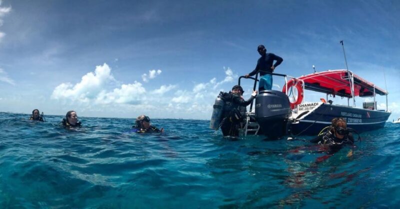 Cancun or Isla Mujeres Reef Diving for Beginners - Post-Dive Amenities