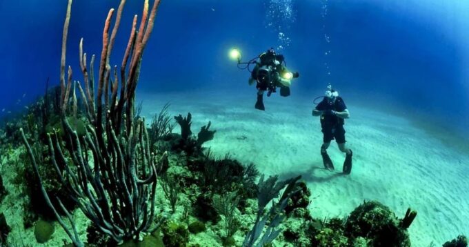 Cancun or Isla Mujeres Reef Diving for Beginners - What to Bring