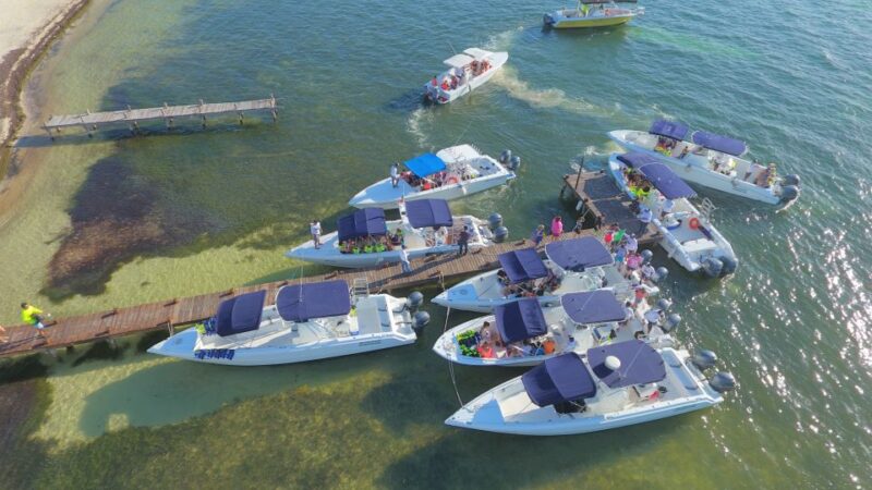Cancun or Riviera Maya: Whale Shark Tour & Playa Norte Beach - Pickup and Drop-off Details