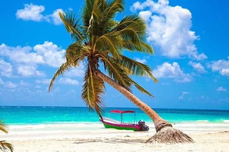 Cancun/Playa Del Carmen: 2 Cenotes, 1 Lagoon & Playa Paraiso - Key Points