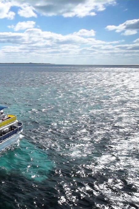 Cancun & Playa Del Carmen: Isla Mujeres Cruise & Day Tour - Optional Extras