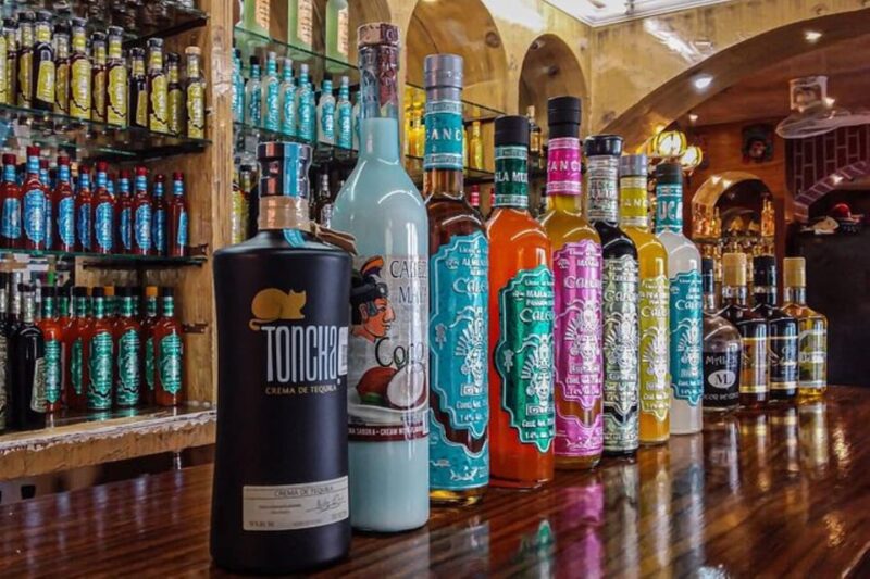 Cancun: Private Half-Day Guided Tour With Tequila Tasting - Local Culture and History