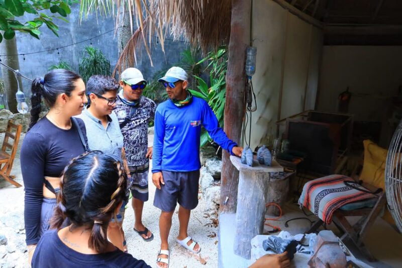 Cancún: Puerto Morelos City & Taco Tour - Highlights and Local Attractions