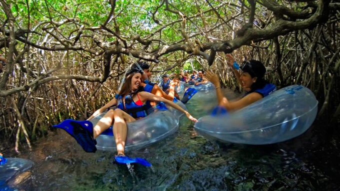 Cancun & Riviera Maya: Combo Xel-Ha & Xplor With Transport - Customer Feedback