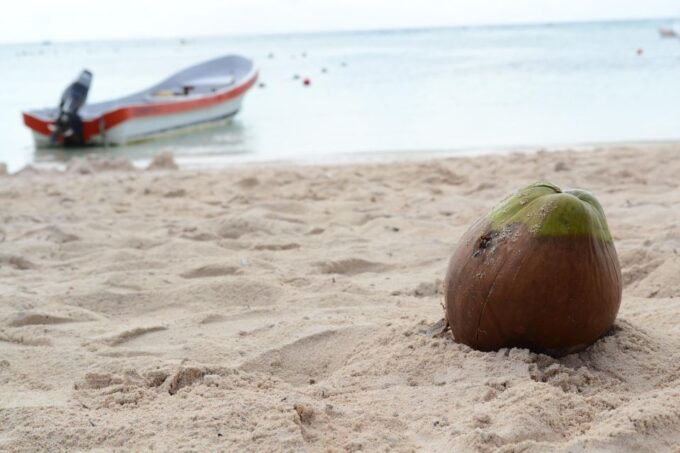 Cancun/Riviera Maya: Tulum Ruins, Sea Turtle Swim & Cenotes - Participant Requirements