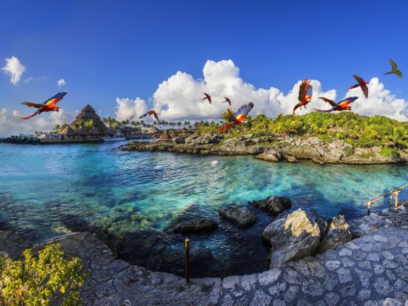 Cancun & Riviera Maya: Xcaret & Xplor Parks With Transport - Xcaret Park Attractions