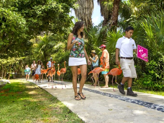 Cancun & Riviera Maya: Xcaret & Xplor Parks With Transport - Age Policies