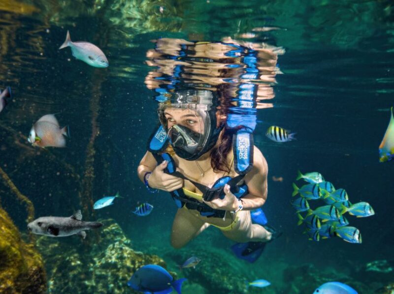 Cancun/Riviera Maya: Xel-Há Admission Ticket All-Inclusive - Included Amenities & Facilities