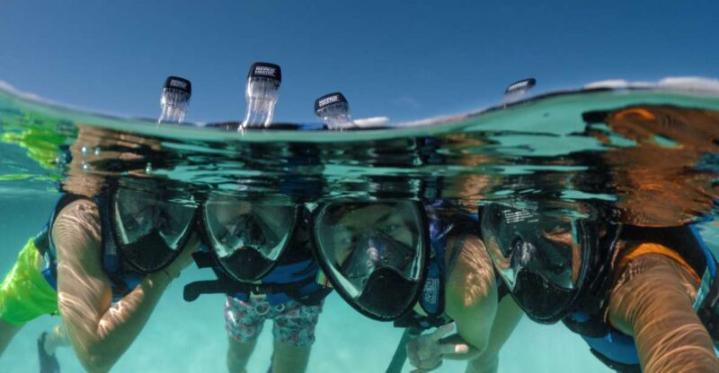 Cancun & Riviera Maya: Xel-Há All-Inclusive & Transportation - Key Points
