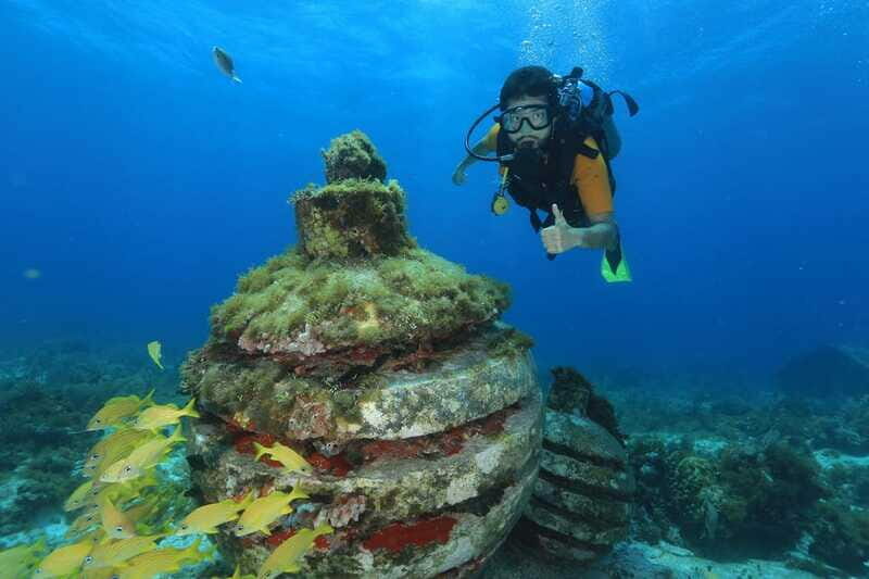 Cancun: Scuba Diving for Beginners, 2 Dives - The Sum Up